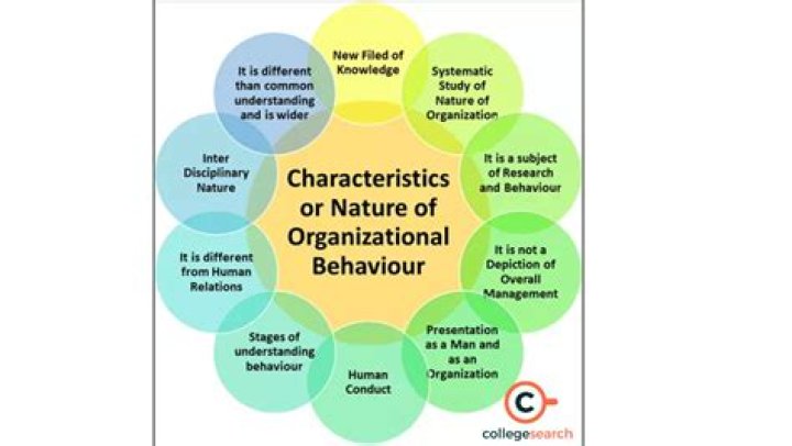 What are the functions of Organisational Behaviour?