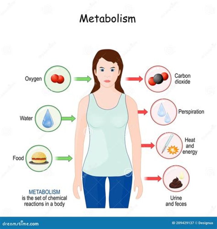 What are the reactions of metabolism?