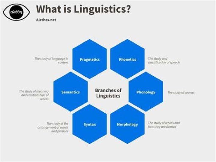 What are the various principles of linguistics?
