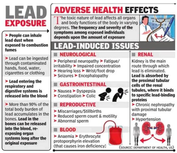 What causes high lead levels?