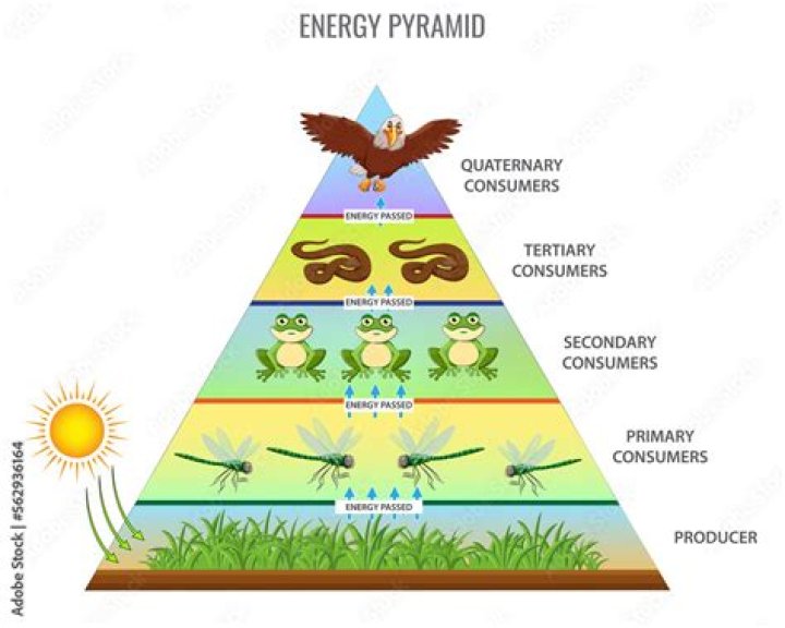 What channel is the pyramid on