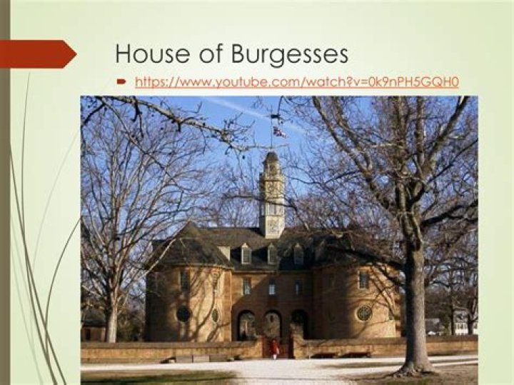 What did Thomas Jefferson do in the House of Burgesses?
