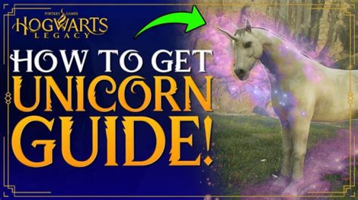 What do you get a unicorn lover?