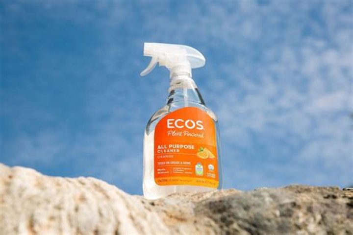 What does ECOS stand for?