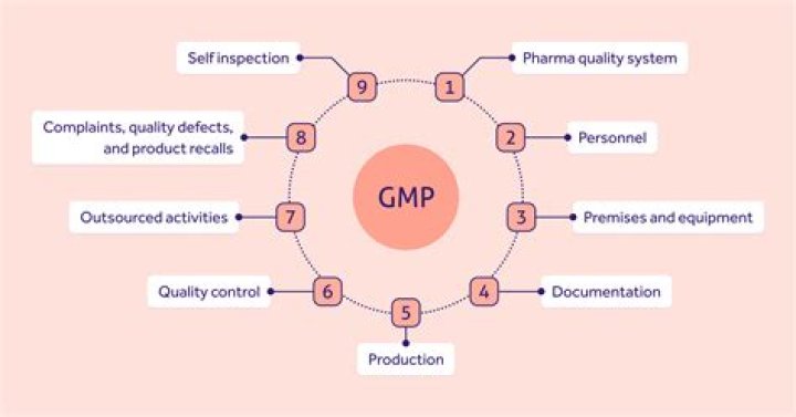 What does GMP stand for in the food industry?