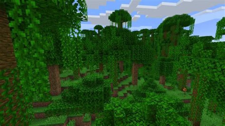 What does jungle up mean?