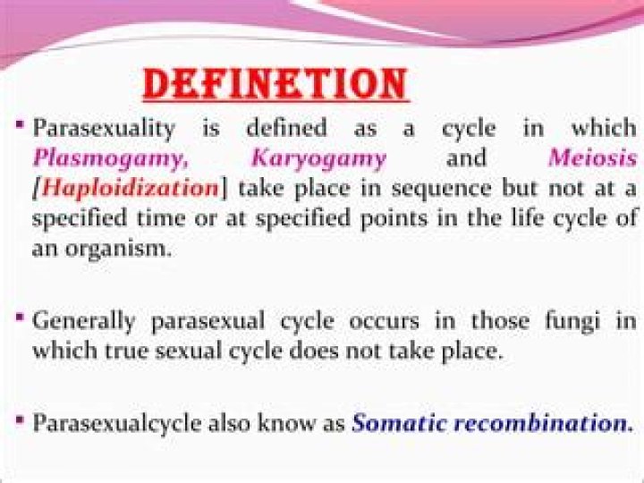 What does Parasexual mean?