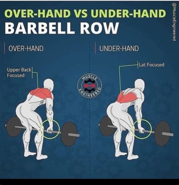 What does underhand barbell row work?