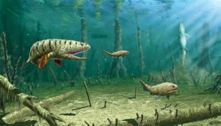 What ended the Devonian period?
