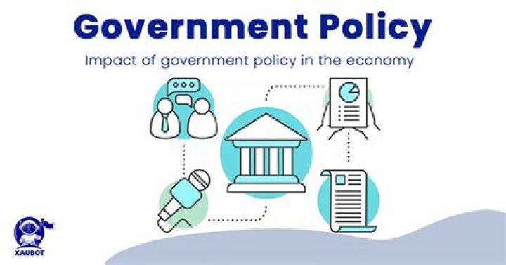 What influences government action and public policy?
