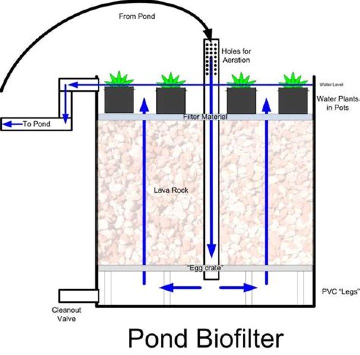 What is a biofilter for pond?
