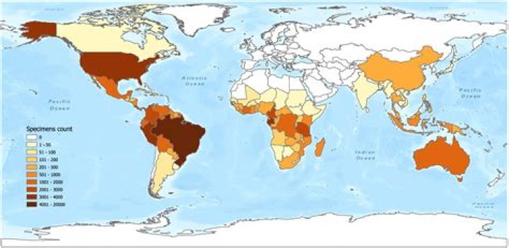 What is a map that shows human made features called