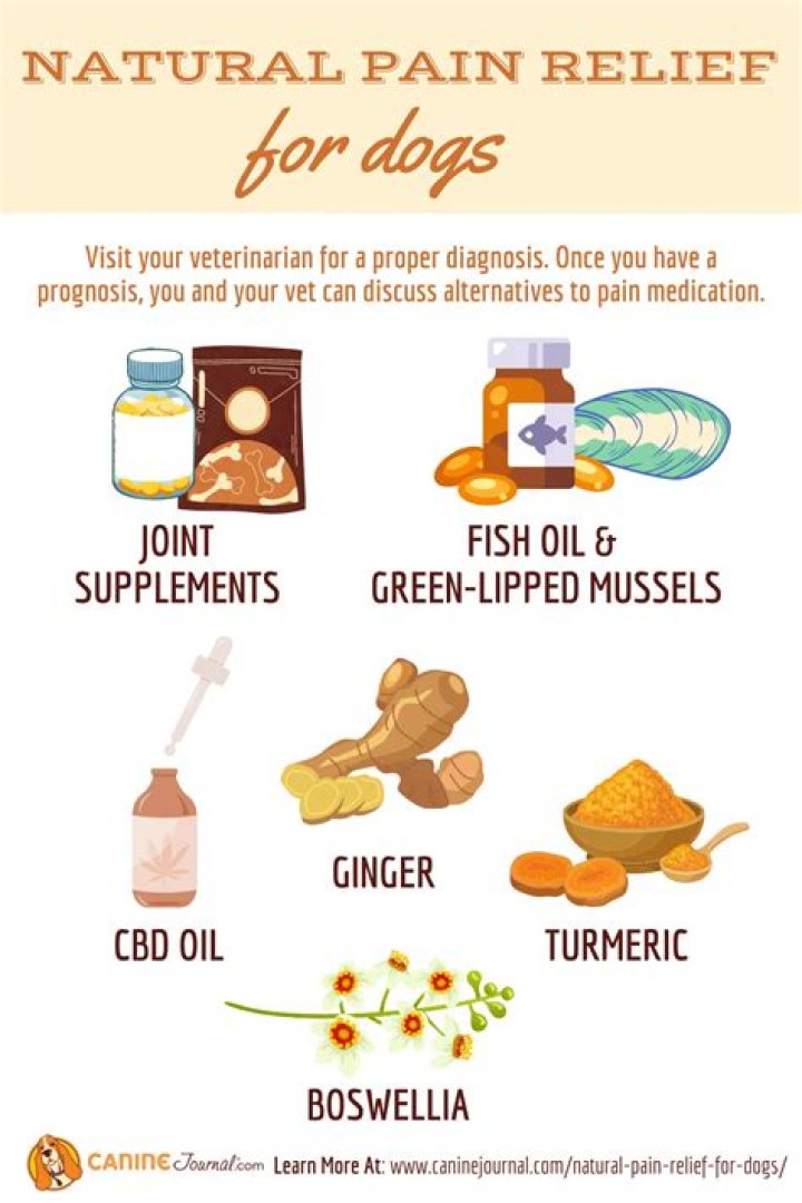 What is a natural pain killer for dogs?