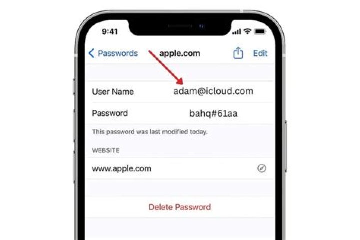 What is an Apple ID password format?