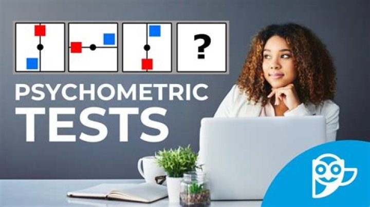 What is Belbin psychometric test?