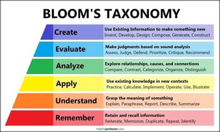 What is beta taxonomy? | ContextResponse.com