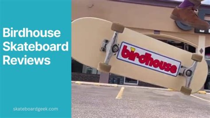 What is Birdhouse Skateboards?