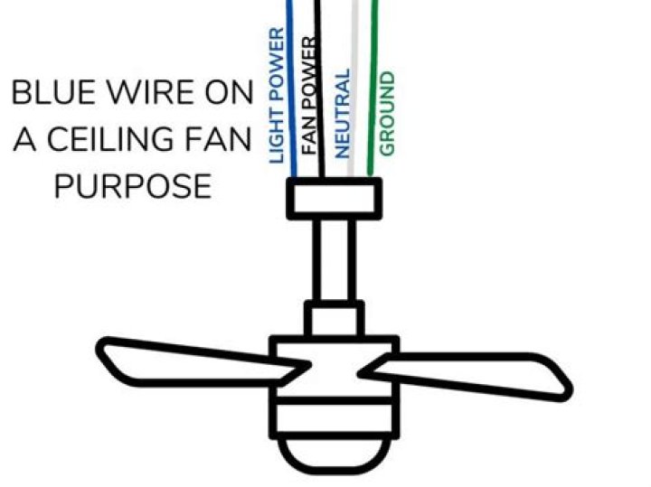 What is blue wire on ceiling fan?