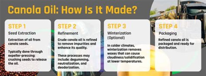 What is canola oil made from?