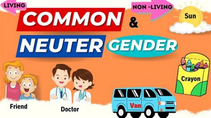 What is common and neuter gender?