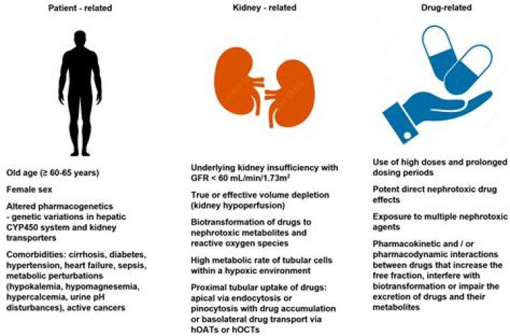 What is drug induced nephrotoxicity?