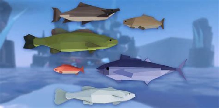 What is fish base for cooking?
