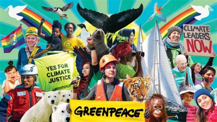 What is Greenpeace an example of?