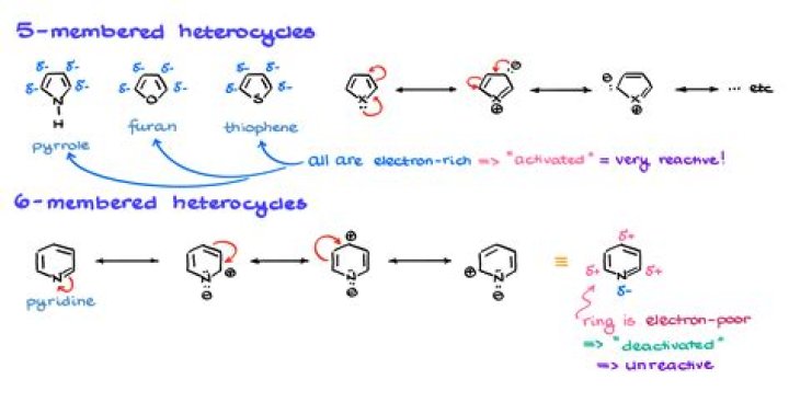 What is heterocyclic ring system?