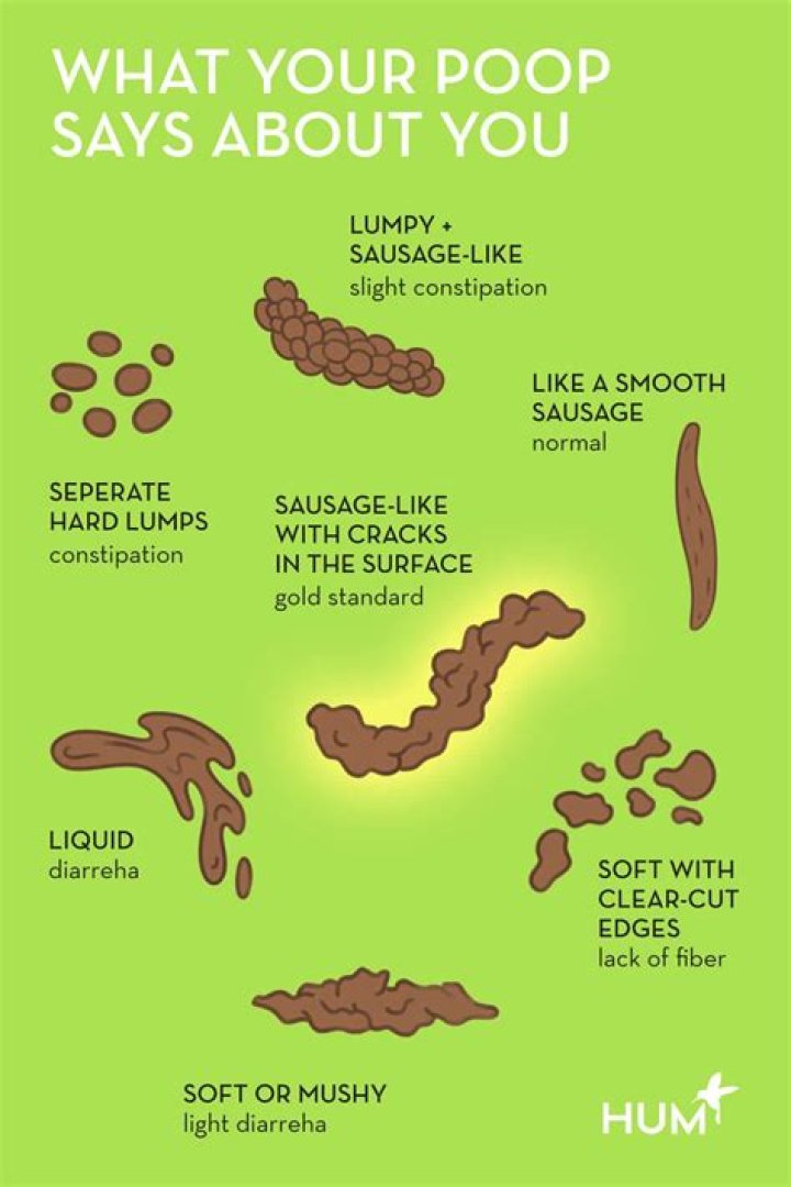 What is human poop made of?