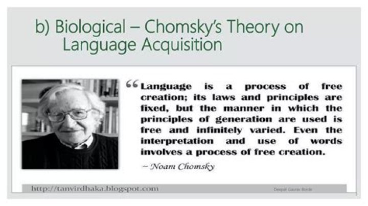 What is LAD according to Chomsky