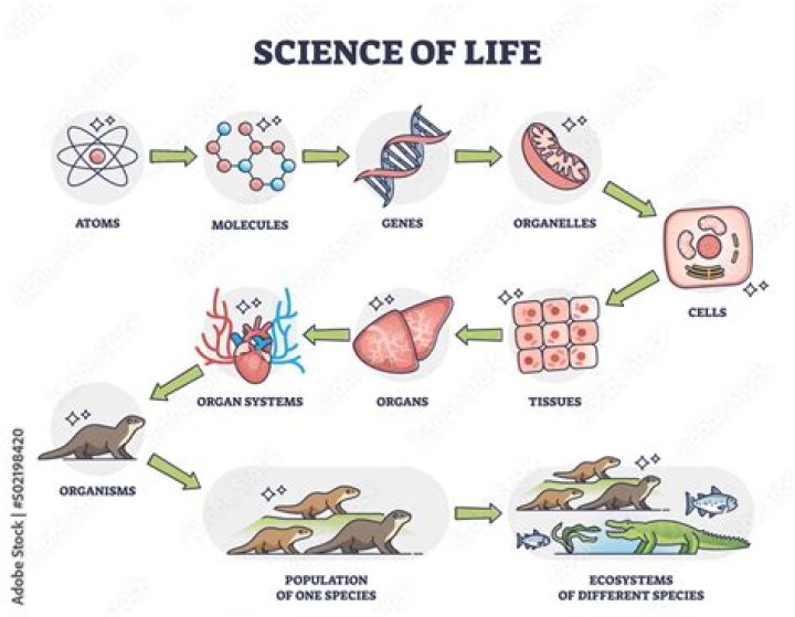 What is living in science?