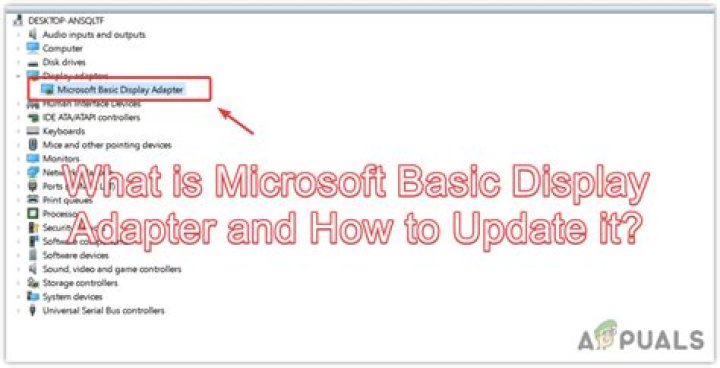 What is Microsoft Basic Display Adapter?