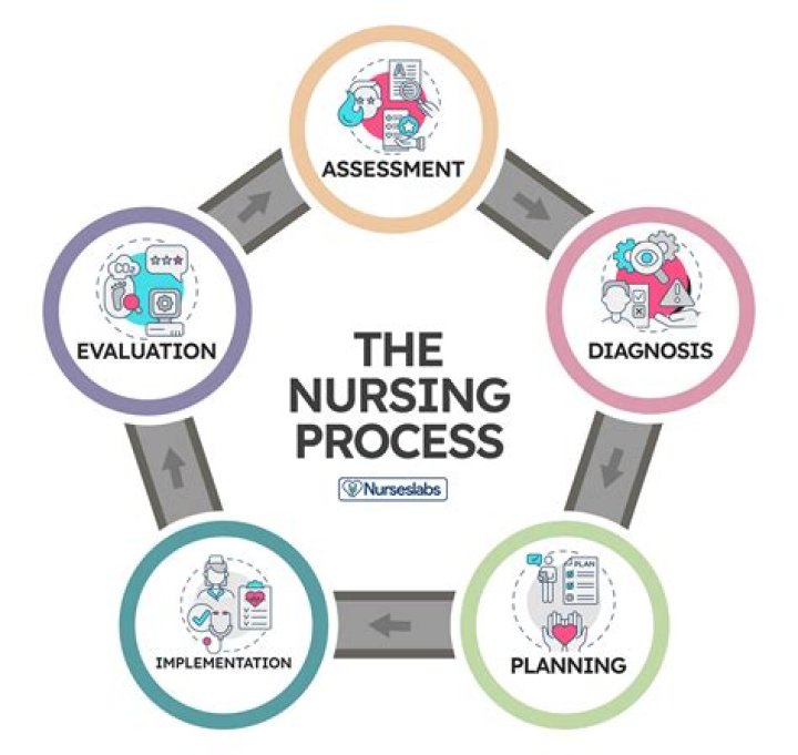 What is nursing pre traditional?