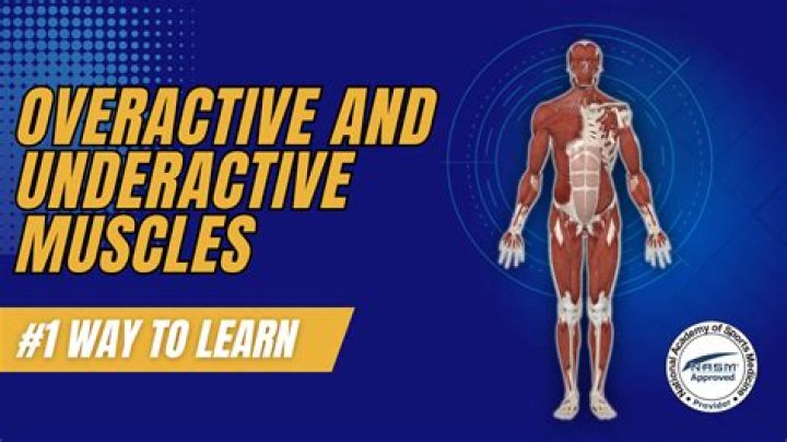 What is overactive and underactive muscles?
