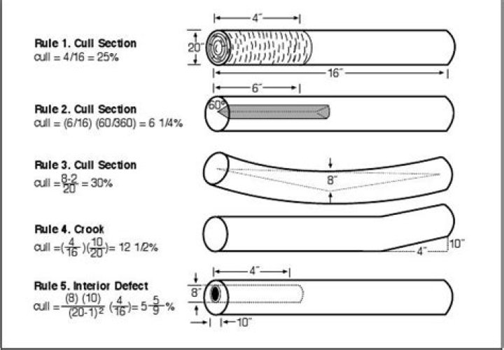 What is Scribner log rule?