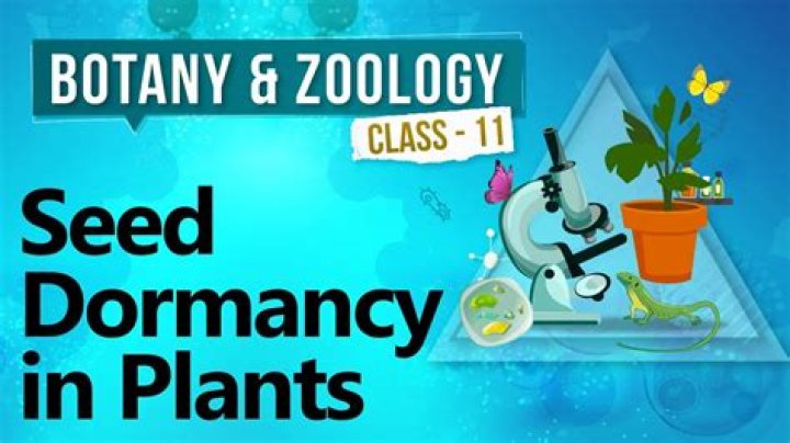 What is seed dormancy class 11?