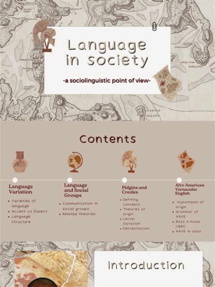 What is sociolinguistic society?