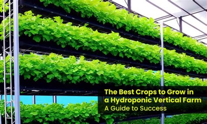 What is the best climate for growing crops?