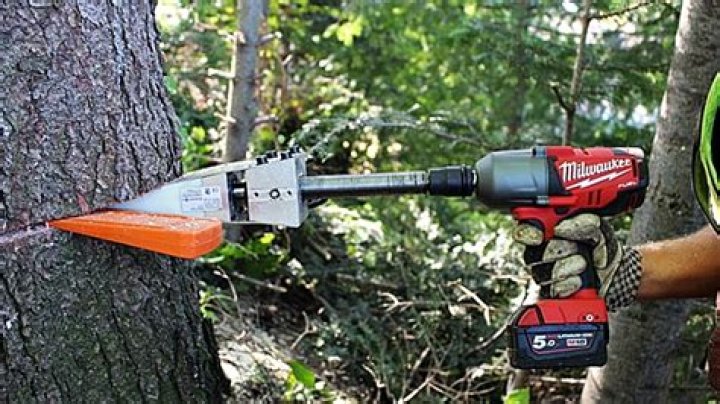 What is the best tool for trimming trees?