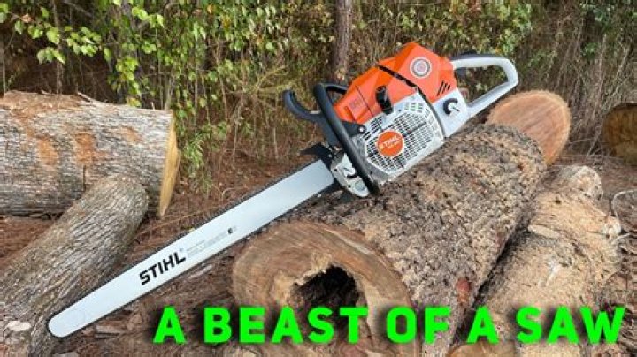 What is the biggest chainsaw Echo makes?