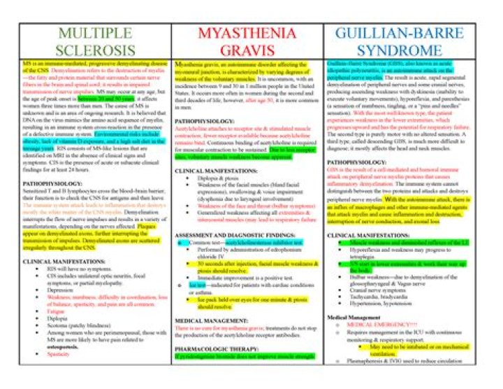 What is the difference between myasthenia gravis and Lambert Eaton syndrome?