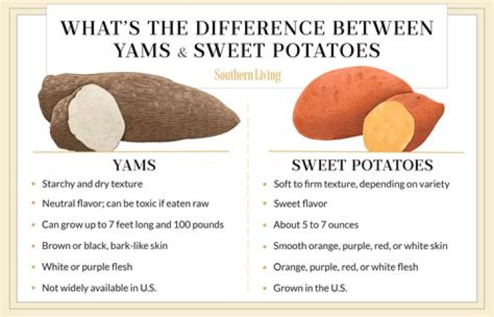 What is the difference between yams and cassava?