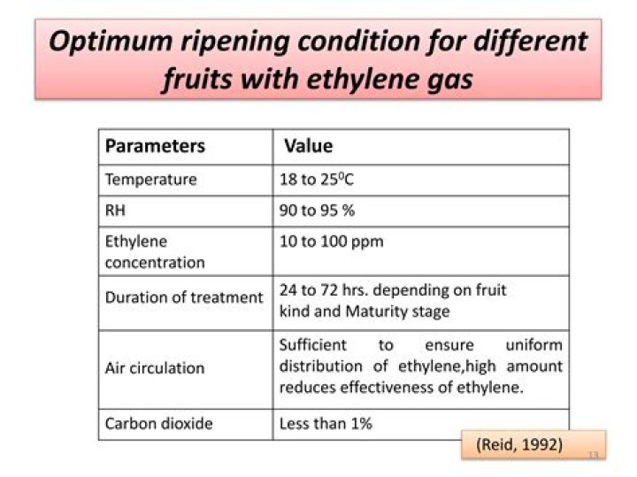 What is the effect of ethylene on fruit ripening?