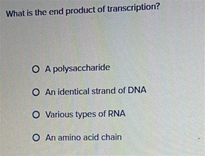 What is the end product of transcription?