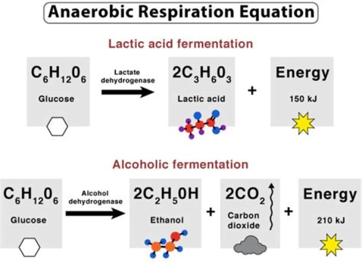 What is the general equation for anaerobic respiration or fermentation?