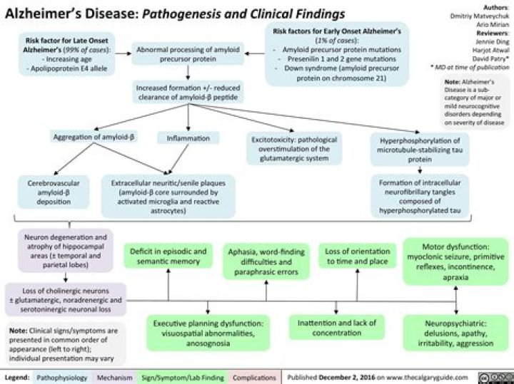 What is the pathophysiology of dementia?