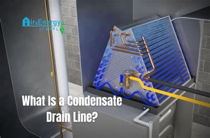 What is the purpose of the trap in the condensate drain line