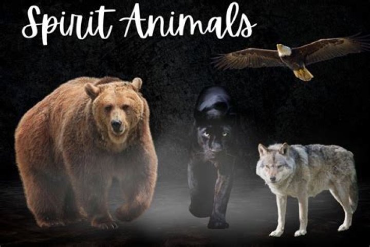 What is the spirit animal for 1977?