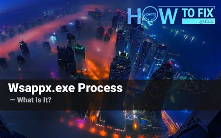 What is wsappx exe process?
