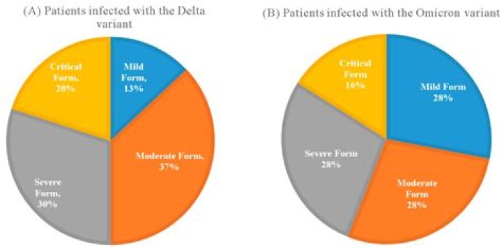 What percentage of individuals with anorexia that receive treatment make a recovery?